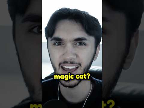 This cat does chip hacks... #shorts #shortsfeed #youtubeshorts #cringe #lifehack #comedy #funny