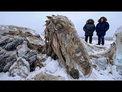 Hallan un ave gigante prehistórica en la Antártida