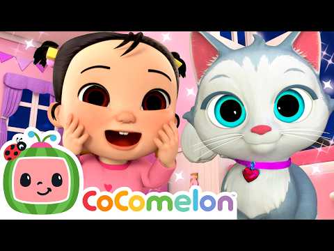 Play with Cats 🐈 | Cece Had a Little Cat | Animals and Pets | CoComelon Nursery Rhymes