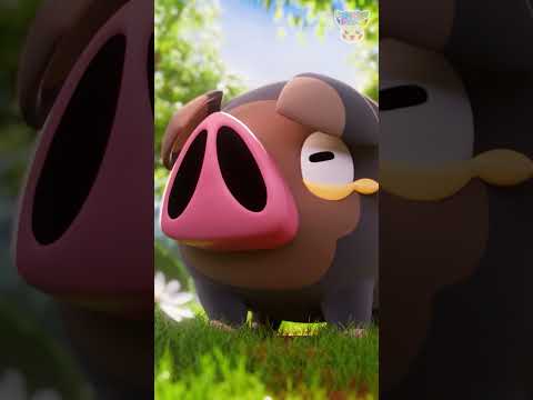 Pokémon Shorts - Animated Pokédex : Lechonk - #PokemonFunVideo #PokemonKidsTV​