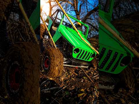 Tree falls in my truck!