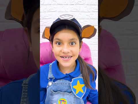 PAW Patrol: The Dino Movie Challenge: Crossing the Erupting Volcano