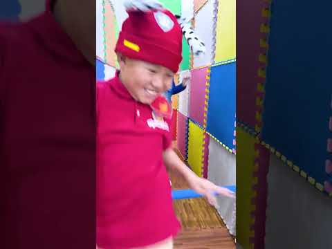 Crash Landing on Dino Island! PAW Patrol Challenge!
