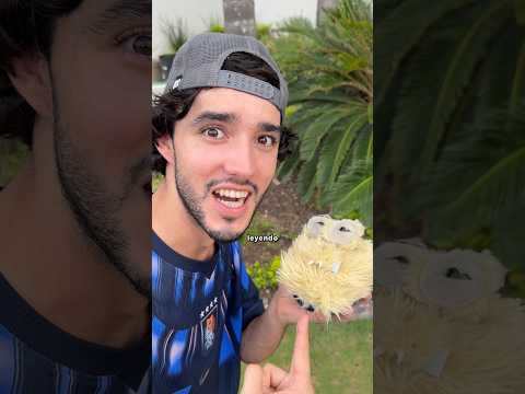 EL GUBI WUBI MAS RARO DEL MUNDO😂