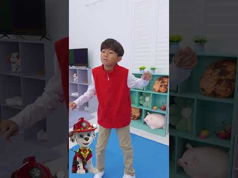 We Learned the PAW Patrol: The Dino Movie Dance featuring "Bottle Up” by Backstreet Boys!