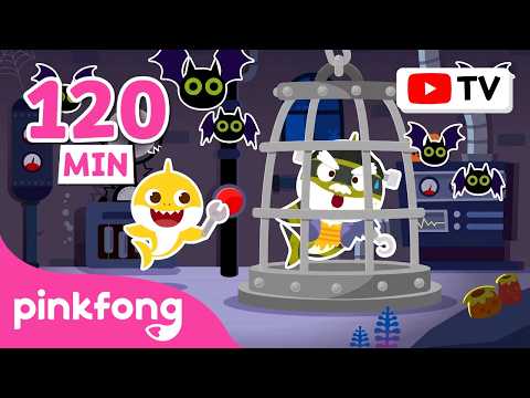 [Best of the Best] Play Hide & Seek with Baby Shark | Brain Teasers for Kids | Pinkfong Official