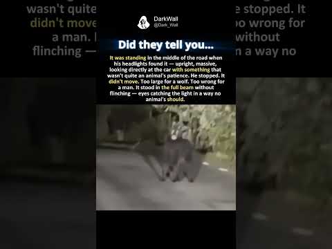 NOT AN ANIMAL'S PATIENCE
