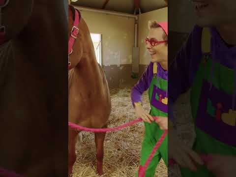 Horses have a thick coat which helps them in summers and winters | Kidbli