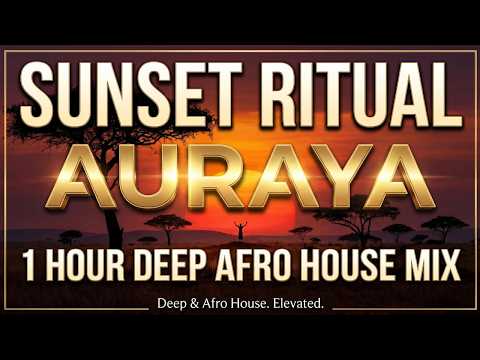 Best Deep & Afro House Mix 2026 – 1 Hour Sunset Ritual  Tribal & Organic House