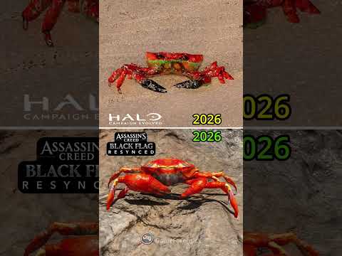 Halo (2026) VS AC Black Flag Resynced (2026)