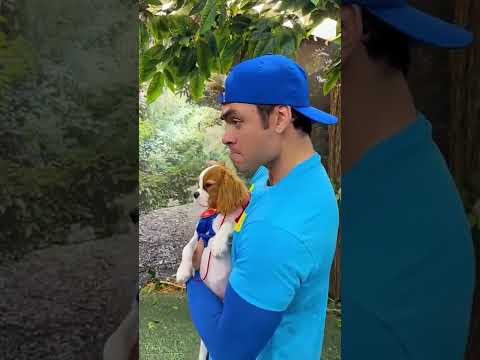 O NOVO CACHORRINHO DOS AVENTUREIROS!