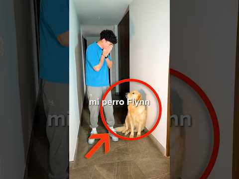 PERDÍ A MI PERRO 😭