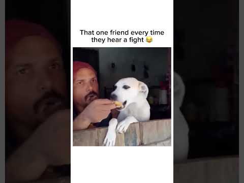 Someone I know every time they hear a fight 😂 Subscribe! #shorts