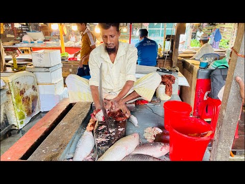 Fish Blogger Nazmul is live