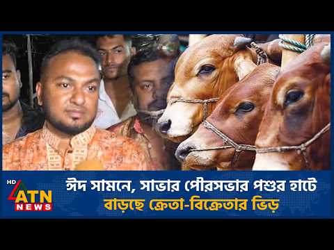 ঈদ সামনে, সাভার পৌরসভার পশুর হাটে বাড়ছে ক্রেতা-বিক্রেতার ভিড় | Qurbani cattle | Cow farming