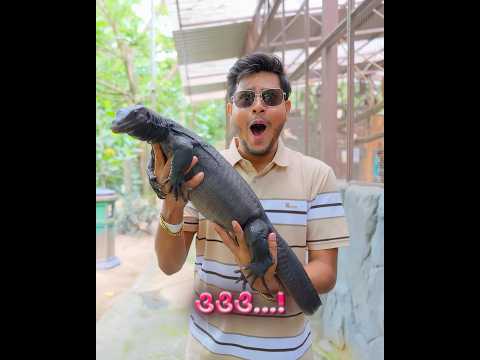 রাকিব এর হাতে কত বড় একটা সাপ 🐍 #rakibhossain #shorts