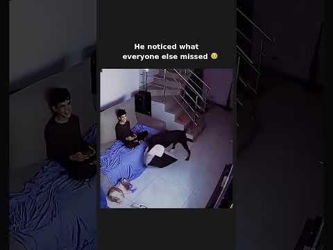 Nobody asked him. He just cared 🥹 subscribe for more #shorts