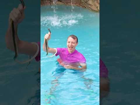 Snake in the Pool! 😱🐍