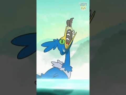 Pokémon Shorts - Animated Pokédex : Cramorant - #PokemonFunVideo #PokemonKidsTV​