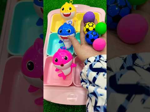 دائما ً كون مهذب ☺️ حوت 🐳 انيق أسمه جميل 😻 سباح 🏊 داخل المحيطات وسع جهة اليمين انظر 👀