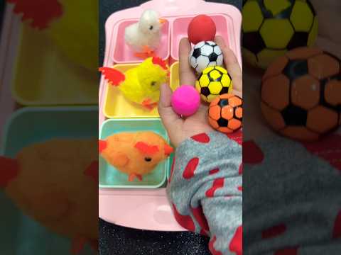 قول بابا 👨 ماما 👩 لا 🙅‍♀️ قول بابا 👨 في عش الدجاج مسافر 🧳 كمان 🎻 دجاج 🐔 مزرعة بابا عليه إقبال