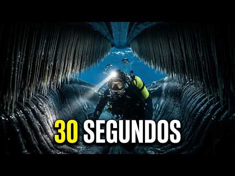 Un buzo que pasó 30 segundos dentro de una ballena