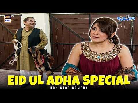 Eid ul Adha Special! 🐄🐐 | Momo | Khoobsurat | Comedy | Bulbulay