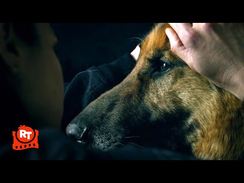 S.W.A.T. - Chris' Dog Partner Is Dying (S2E18) (2/5) | Movieclips