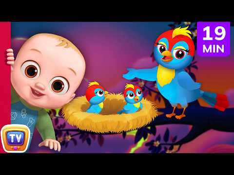 Animal Homes + Zoo Friends, Sea Otter, Blue Whale & Animal Songs | 19 Min | ChuChu TV
