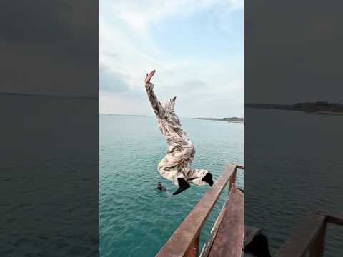 Anak di bawah umur JANGAN LIHAT INI.. #riaricis