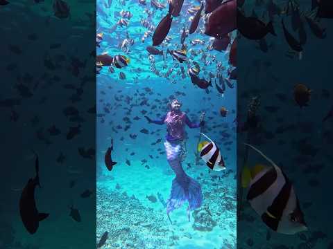 The real mermaid! #riaricis