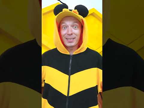 Little Bees Fill the Honeycomb! 🐝🍯