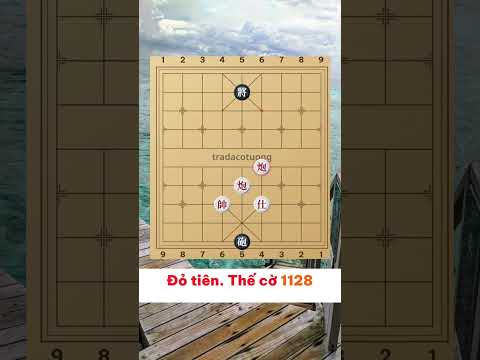 Cờ Tướng Tàn Cuộc: Song Pháo Song Sĩ Chống Pháo Song Sĩ