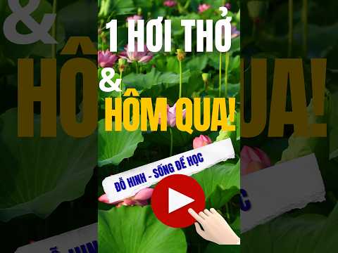 Chỉ 4 Phút Thiếu Oxy Và Bài Học Cả Đời Người Để Tỉnh Thức | ĐỖ HINH - SỐNG ĐỂ HỌC