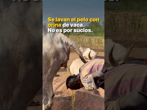 Se lavan el pelo con orina de vaca. No es por sucios.