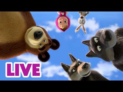 🔴 LIVE STREAM 🎬 Masha and the Bear 🤠🐘 Backyard Safari 🦒🏡