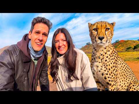 Il nostro viaggio in SUD AFRICA