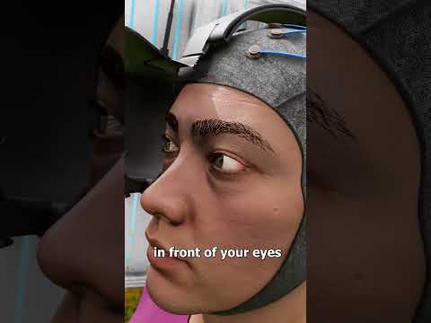 Controlling A Turtle With Human Thought 🤯