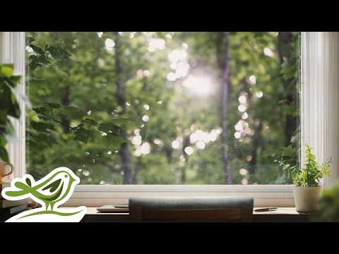 Peder B. Helland - Wednesday | 1 Hour of Relaxing Piano Music
