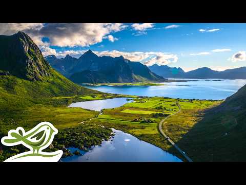 Peder B. Helland - Thursday | Beautiful & Relaxing Piano Music for Stress Relief