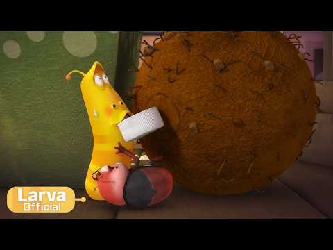 Tomato | 토마토 | Animation Compilation | Larva Tuba | Official