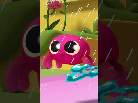 Incy Bitsy Spider 🕷️☔️