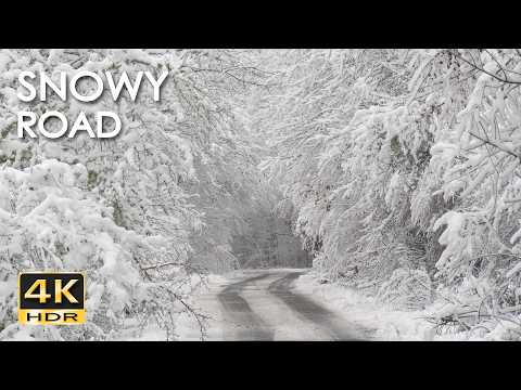 4K HDR Snowy Road – Peaceful Forest Snowfall Ambiance - Relaxing Winter Atmosphere for Sleep & Study