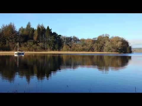 Relaxing Nature Sounds of Forest Birds Chirping by the Lake Shore, 5min of Calming Lapping Water