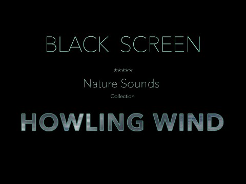 Howling Wind Sounds for Sleeping Black Screen - Dark Screen Relaxing Nature Sounds for Sleep
