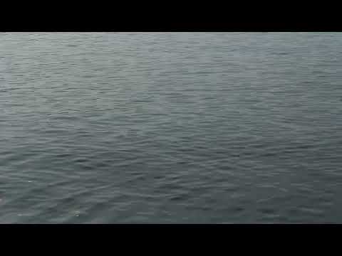 Calm Lake on a Rainy Day - Super Soothing Sounds
