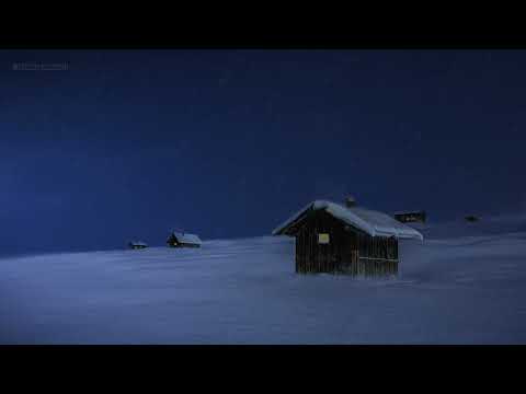 Winter Ambience with Relaxing Wind Gust & Snowfall ❄ on the Microfoon / Snow Storm Sleep Sounds