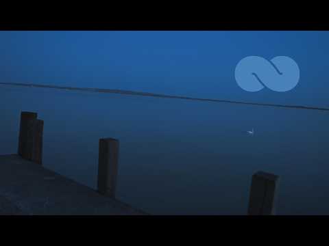 Flora: 12 Hours of Sleep Piano Music ★︎ Fade to Black Screen | Ocb Relax