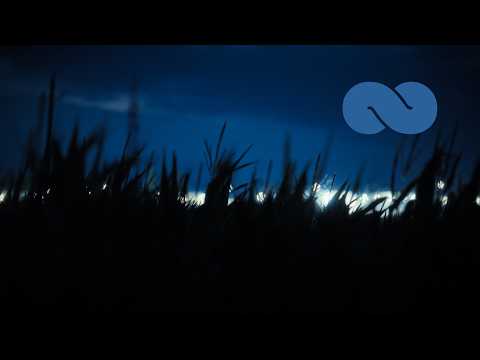 Vida: 12 Hours of Soft Piano Music For Sleep ★︎ Fade to Black Screen | Ocb Relax