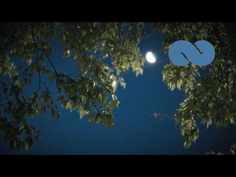 Luke: 12 Hours Soft Piano Music For Sleep ★︎ Fade to Black Screen | Ocb Relax